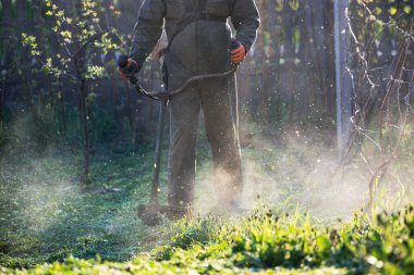 Çim biçme makinesiyle çimleri biçmek. Bahçe işleri konsepti.