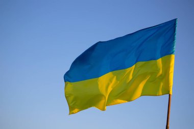 Detail of the national flag of Ukraine waving in the wind on a clear day. Democracy and politics. 