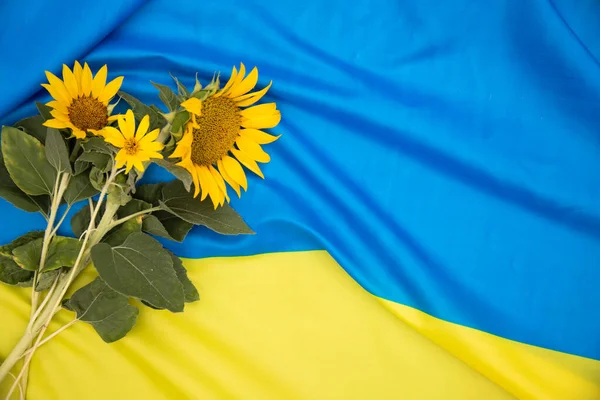 Drapeau Ukraine Tournesol Est Fleur Nationale Ukraine — Photo
