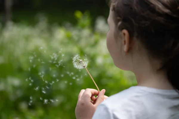 Little Caucasian Girl Blowing Dandelion Spring Garden — Stock Photo, Image