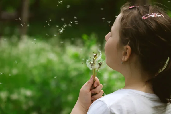 Μικρό Καυκάσιο Κορίτσι Φυσάει Πικραλίδα Στον Ανοιξιάτικο Κήπο — Φωτογραφία Αρχείου