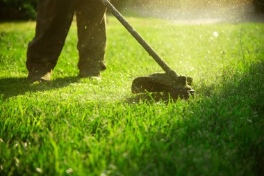 Çim biçme makinesiyle çimleri biçmek. Bahçe işleri konsepti.