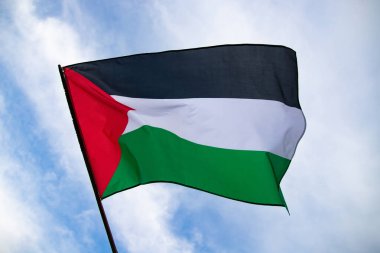 Palestine national flag waving in the wind. International relations concept.