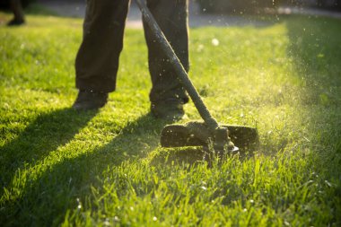 Çim biçme makinesiyle çimleri biçmek. Bahçe işleri konsepti.