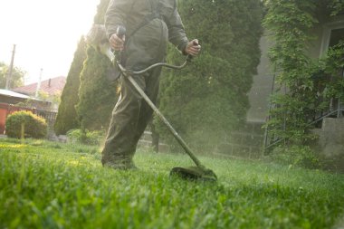 Çim biçme makinesiyle çimleri biçmek. Bahçe işleri konsepti.