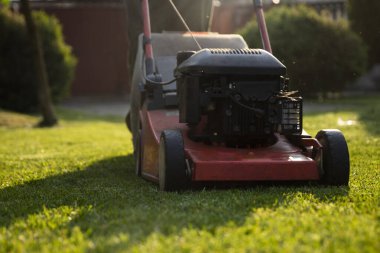 Çim biçme makinesiyle çimleri biçmek. Bahçe işleri konsepti.