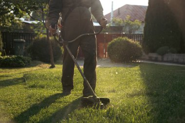 Çim biçme makinesiyle çimleri biçmek. Bahçe işleri konsepti.