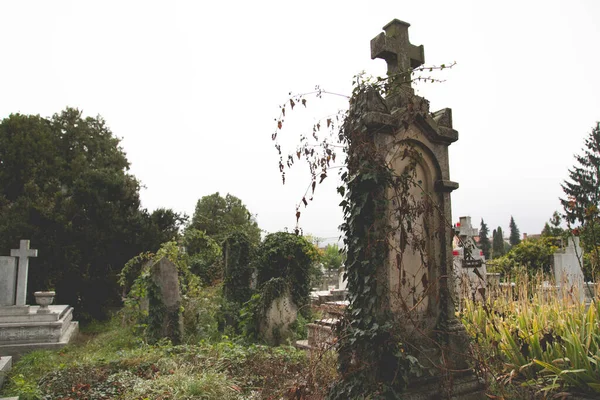 Помилковий Вид Темні Кам Яні Хрести Надгробні Камені Покинутому Кладовищі — стокове фото