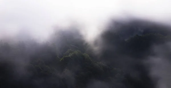 Evanescent Atmosfeer Het Bos Gewikkeld Mist Foggy Berglandschap Met Dennenbos — Stockfoto