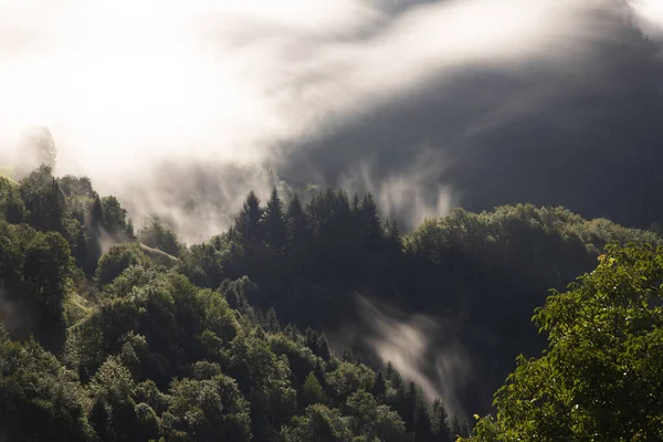 Evanescent Atmosfeer Het Bos Gewikkeld Mist Foggy Berglandschap Met Dennenbos — Stockfoto