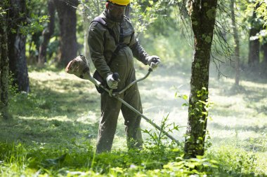 Çim biçme makinesiyle çimleri biçmek. Bahçe işleri konsepti.