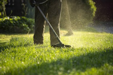 Çim biçme makinesiyle çimleri biçmek. Bahçe işleri konsepti.