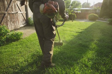 Çim biçme makinesiyle çimleri biçmek. Bahçe işleri konsepti.