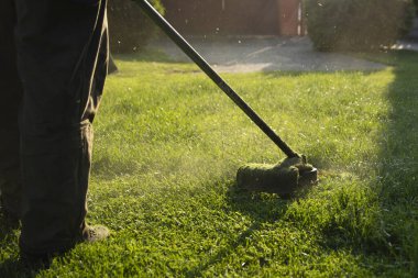 Çim biçme makinesiyle çimleri biçmek. Bahçe işleri konsepti.