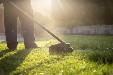 Çim biçme makinesiyle çimleri biçmek. Bahçe işleri konsepti.