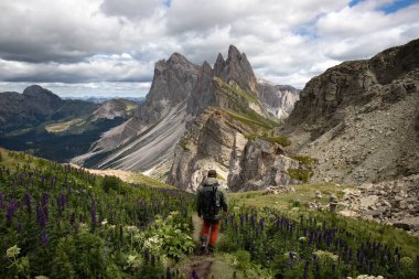 Genç adam bir yaz günü Seceda dağında Dolomitlerde (İtalya) yürüyüş yapıyor..