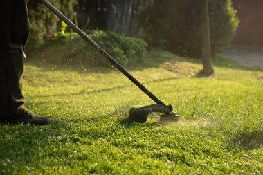 Çim biçme makinesiyle çimleri biçmek. Bahçe işleri konsepti.