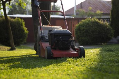 Çim biçme makinesiyle çimleri biçmek. Bahçe işleri konsepti.