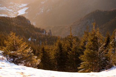 Ceahlau 'nun sabah güneşiyle aydınlanan etkileyici kayaları - Ceahlau Dağları Ulusal Parkı - Moldova - Romanya