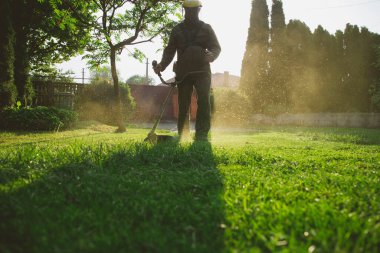 Çim biçme makinesiyle çimleri biçmek. Bahçe işleri konsepti.
