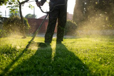 Çim biçme makinesiyle çimleri biçmek. Bahçe işleri konsepti.