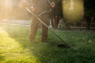Çim biçme makinesiyle çimleri biçmek. Bahçe işleri konsepti.