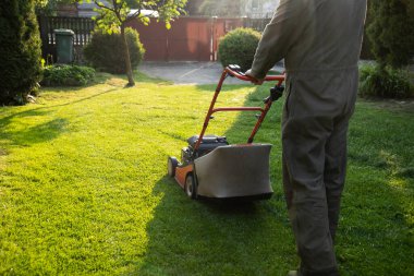 Çim biçme makinesiyle çimleri biçmek. Bahçe işleri konsepti.
