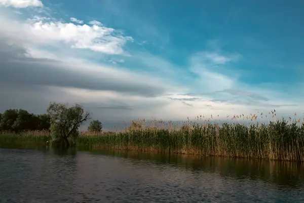 Beautiful and reed landscape in Danube Delta, Romania
