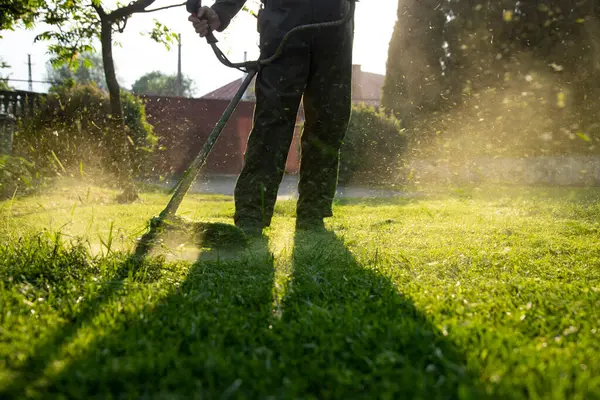 Çim biçme makinesiyle çimleri biçmek. Bahçe işleri konsepti.