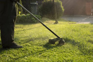Çim biçme makinesiyle çimleri biçmek. Bahçe işleri konsepti.