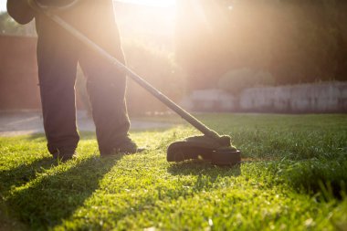 Çim biçme makinesiyle çimleri biçmek. Bahçe işleri konsepti.