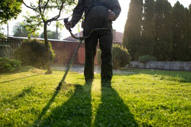 Çim biçme makinesiyle çimleri biçmek. Bahçe işleri konsepti.
