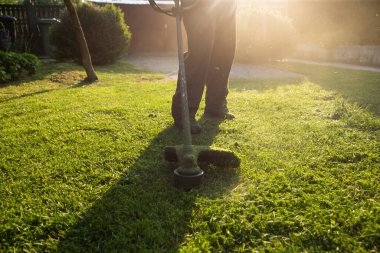 Çim biçme makinesiyle çimleri biçmek. Bahçe işleri konsepti.
