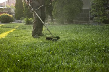 Çim biçme makinesiyle çimleri biçmek. Bahçe işleri konsepti.