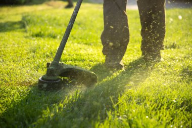 Çim biçme makinesiyle çimleri biçmek. Bahçe işleri konsepti.