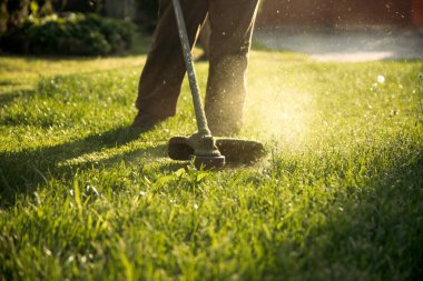 Çim biçme makinesiyle çimleri biçmek. Bahçe işleri konsepti.