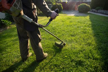 Çim biçme makinesiyle çimleri biçmek. Bahçe işleri konsepti.