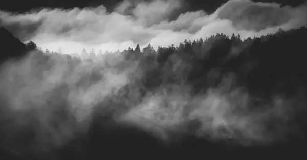 Evanescencyjna Atmosfera Lesie Owinięta Mgłą Mglisty Krajobraz Górski Lasem Jodłowym — Zdjęcie stockowe