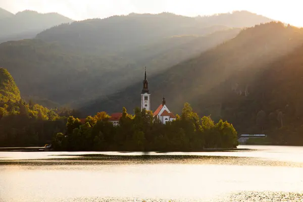 슬로베니아의 호수에서 흘렸다 교회가 아름다운 로열티 프리 스톡 사진
