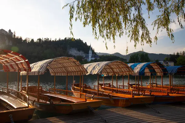슬로베니아 블레드 호수에서 슬로베니아 Pletna에서 전형적인 슬로베니아 스톡 사진