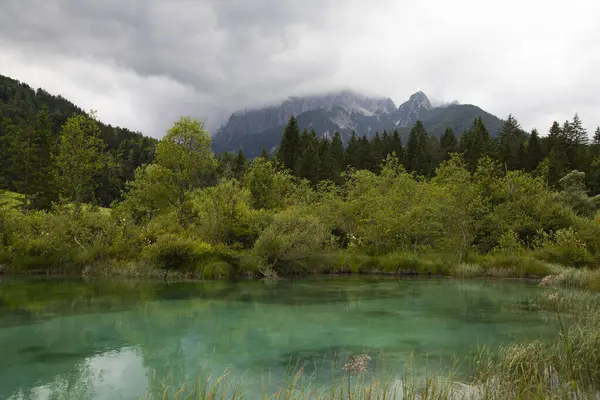 아름다운 반사와 Zelenci 호수에 트리글라브 슬로베니아 유럽의 로열티 프리 스톡 이미지