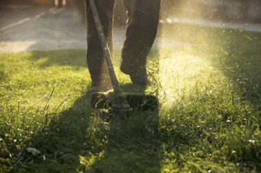 Çim biçme makinesiyle çimleri biçmek. Bahçe işleri konsepti.