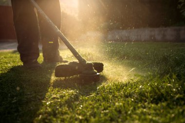 Çim biçme makinesiyle çimleri biçmek. Bahçe işleri konsepti.