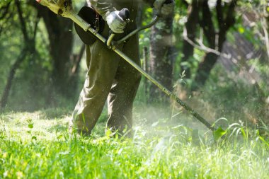 Çim biçme makinesiyle çimleri biçmek. Bahçe işleri konsepti.