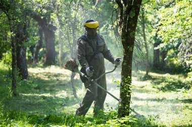 Çim biçme makinesiyle çimleri biçmek. Bahçe işleri konsepti.
