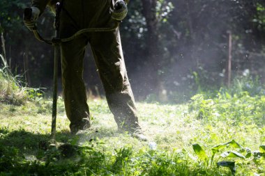 Çim biçme makinesiyle çimleri biçmek. Bahçe işleri konsepti.