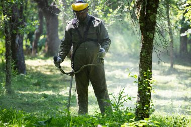 Çim biçme makinesiyle çimleri biçmek. Bahçe işleri konsepti.