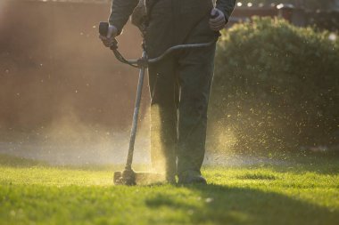 Çim biçme makinesiyle çimleri biçmek. Bahçe işleri konsepti.