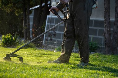 Çim biçme makinesiyle çimleri biçmek. Bahçe işleri konsepti.