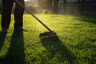 Çim biçme makinesiyle çimleri biçmek. Bahçe işleri konsepti.